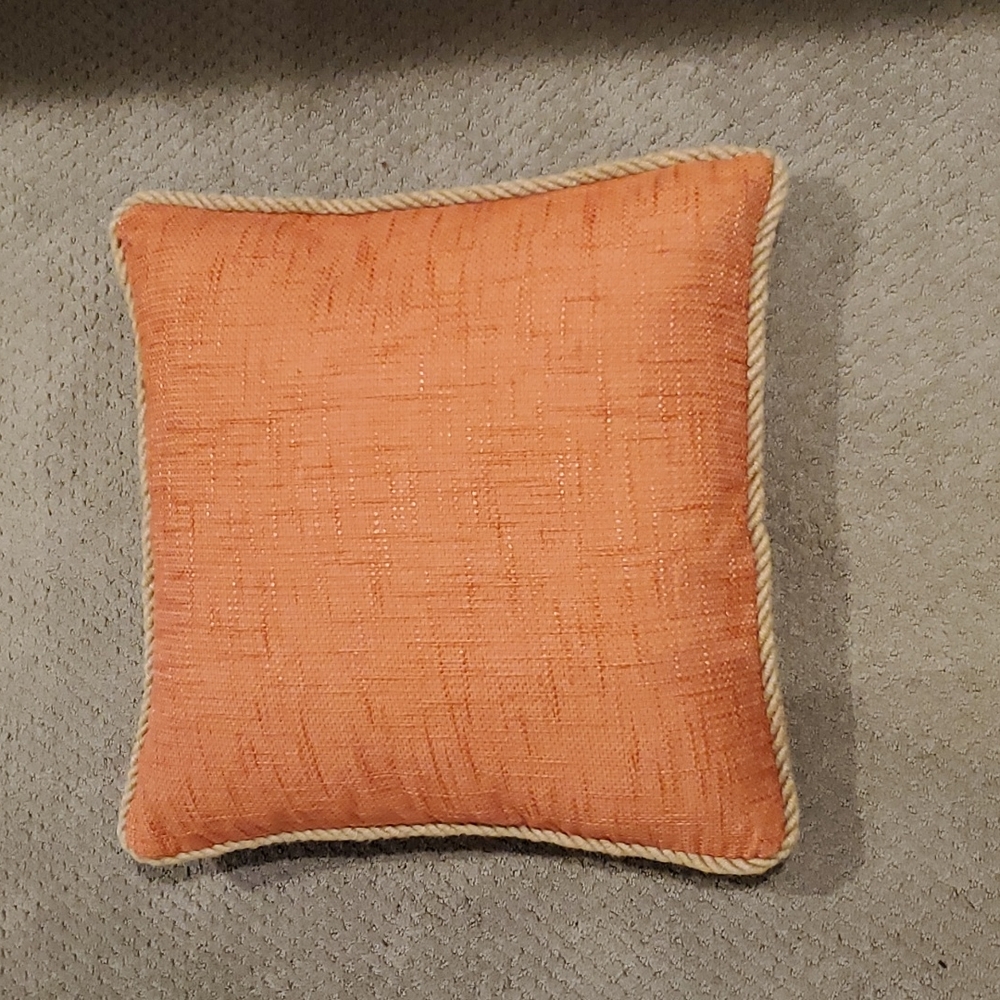 Designer , down pillow Coral in color 19x19